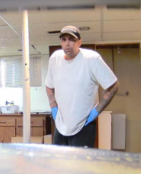 picutre of suspect 1